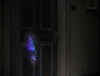 Alt Horror Pic 2