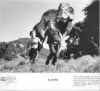 Dinoslide Pic
